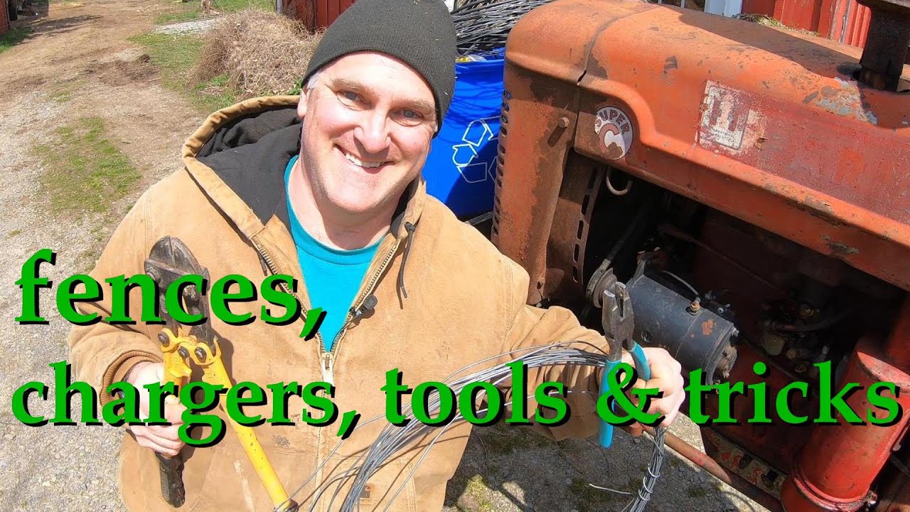 getting fences ready for Dexter cattle