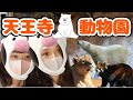 【休日】天王寺動物園に行ってきた！【実写】