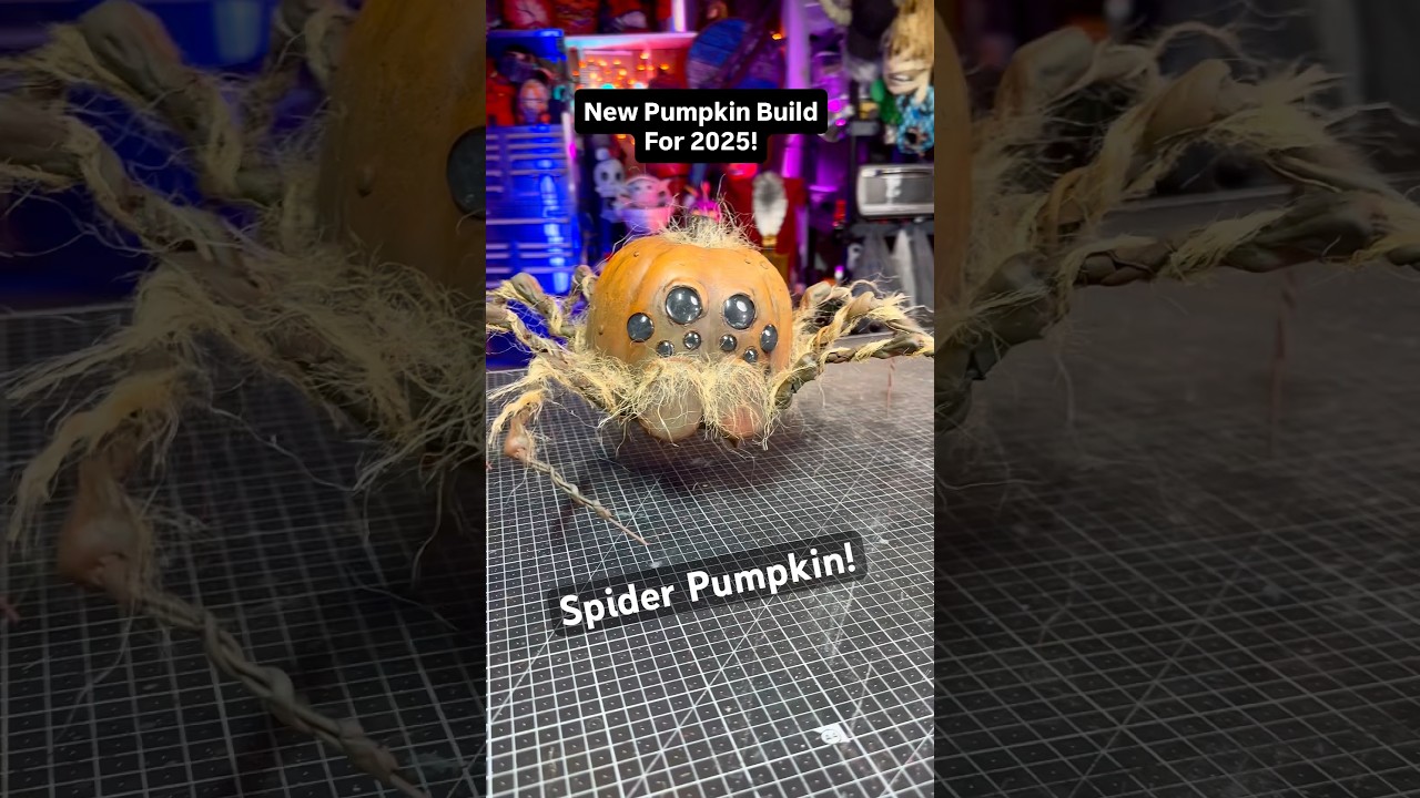 Spider Pumpkin Halloween Craft #halloween #halloweendecor #halloweencrafts #pumpkin carving