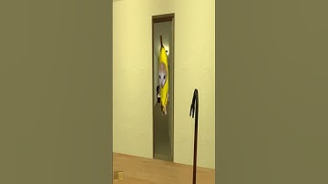 Banana CAT ¡¡¡¡ Nextbot ¡¡¡ (gmod)Horde!