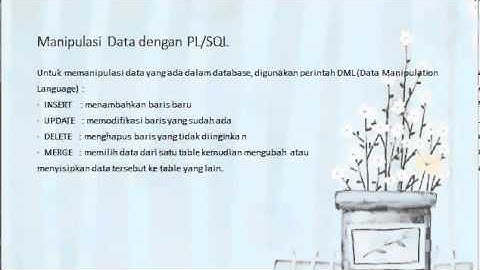 PRAKTIKUM 2 INTERAKSI PL SQL DENGAN ORACLE SERVER