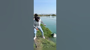 Câu cá rô đồng siêu khổng lồ #fishing #cauca