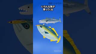 青物に効きすぎる!? ○○がついた最強ルアー【ブレードショーテル】提供：シャウト #ショアジギング #ショアジギ #青物 #shorts #fmaxweb #ジギング VOICEVOX:ずんだもん