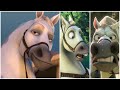 [Tangled] The Complete Animation of Maximus