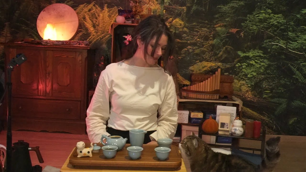 Tea Tasting Anhua Mulberry Leaf Fu Brick Heicha