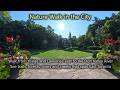Nature Walk along River Trails | Don Valley | Toronto