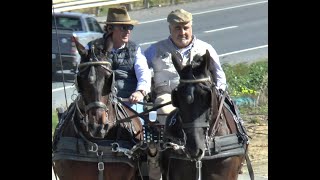 Enganchando con Manuel Jesús Arjonilla 'El boticario de Palos de la Frontera' Enganche tradición