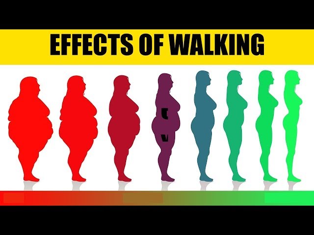 What Happens When You WALK EVERYDAY!!!