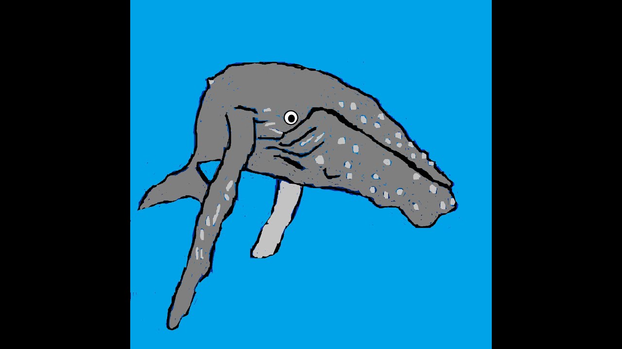 Animals from the state of Massachusetts from Periwinkle and friends animal stories for kids