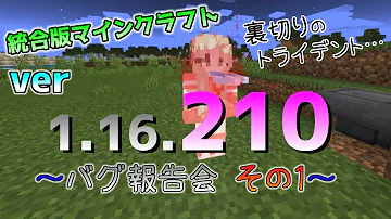 マイクラバグ報告会