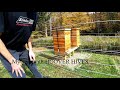 One year with hoover hives