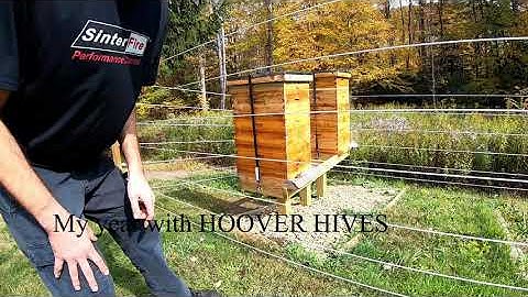 One year with hoover hives