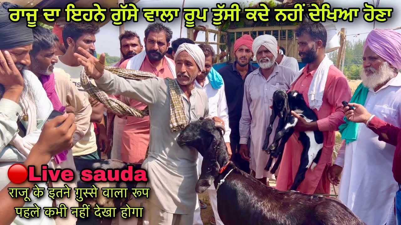 ਰਾਜੂ ਦਾ ਇਹਨੇ ਗੁੱਸੇ ਵਾਲਾ ਰੂਪ ਤੁੱਸੀ ਕਦੇ ਨਹੀਂ ਦੇਖਿਆ ਹੋਣਾ #live_sauda tungwali bazar@Farming baba Punjab
