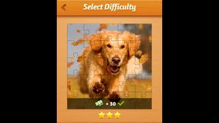 Jigsaw Magic Puzzles | Chapter 1 Dog 25 and 64 PCS screenshot 5