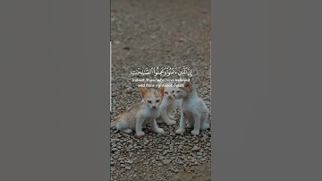 القرآن الكريم الشيخ سعود شريم🕋🕋💚💚❤️❤️