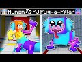 From HUMAN to PJ PUG-A-PILLAR in Minecraft!