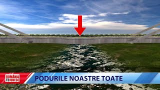 ROMNIA, TE IUBESC! - PODURILE NOASTRE TOATE