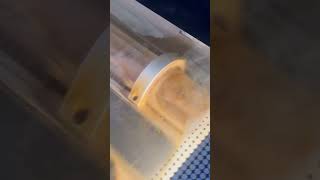 Glowforge laser tube burned out