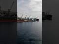 Dry Bulk Carrier Ship Loading | Bulk Carrier Ship | Crane Loading #bulkcarrier #ship #loading #sea