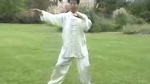 Compact Tai Chi for Healing in Yang Style Taiji