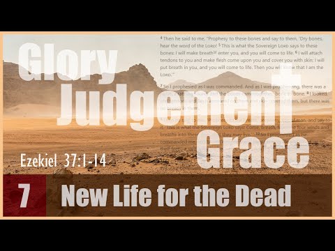 New Life for the Dead