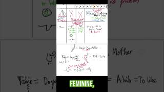 How to Master Arabic Grammar: The Derivation System, day 3