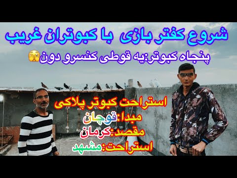پرش و شروع چاشنی بازی با کبوتران غریب گیری شده اهدا کبوتر کوردستان به داش امیرعشق باز جاده کلات مشهد 
