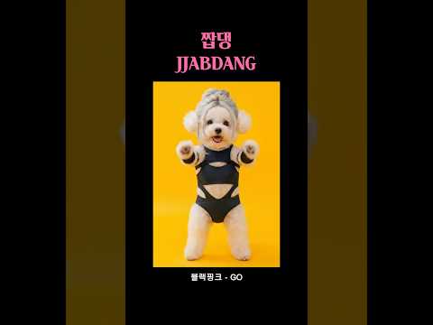 [짭댕이 춤] 블랙핑크(BLACKPINK) - GO #kpop #aivideo #shorts