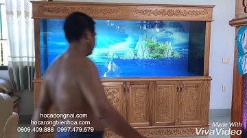 hồ cá rồng 3 m lắp đặt tại Vĩnh Long .