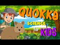 Quokka Learning Quiz