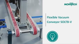 Flexible Vacuum Conveyor SOLTB-V