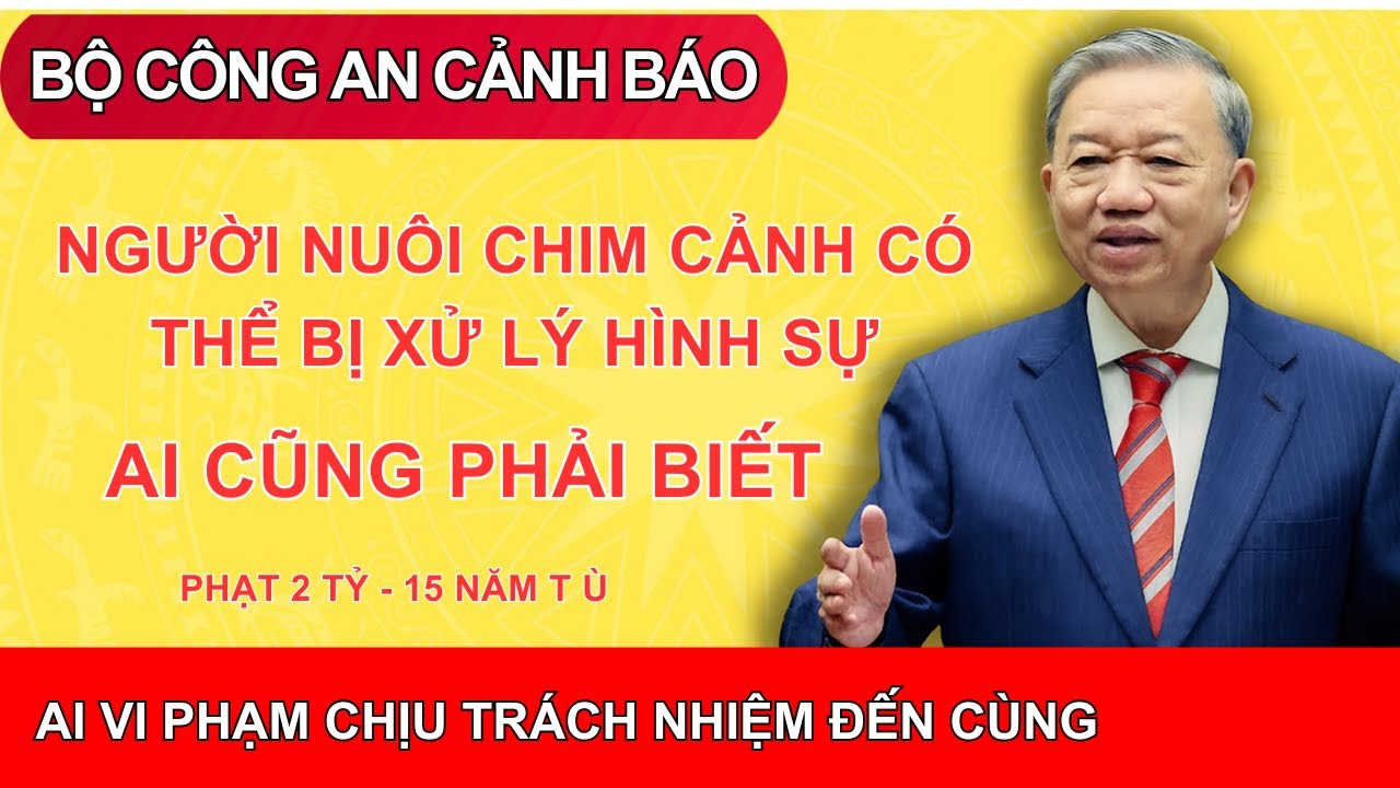 Bộ Công An Cảnh Báo Khẩn! Hàng Loạt Người Nuôi Chim Cảnh Có Thể Bị Xử Lý Hình Sự