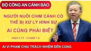 Bộ Công An Cảnh Báo Khẩn! Hàng Loạt Người Nuôi Chim Cảnh Có Thể Bị Xử Lý Hình Sự
