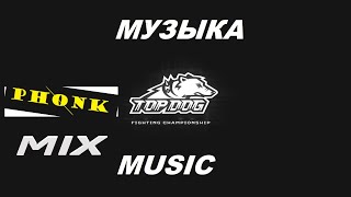 КРУТАЯ МУЗЫКА TOP DOG PHONK MIX. 60 МИНУТ PHONK. TOP DOG PHONK MIX. ЛУЧШИЕ ТРЕКИ И БОИ. ФОНК МИКС.