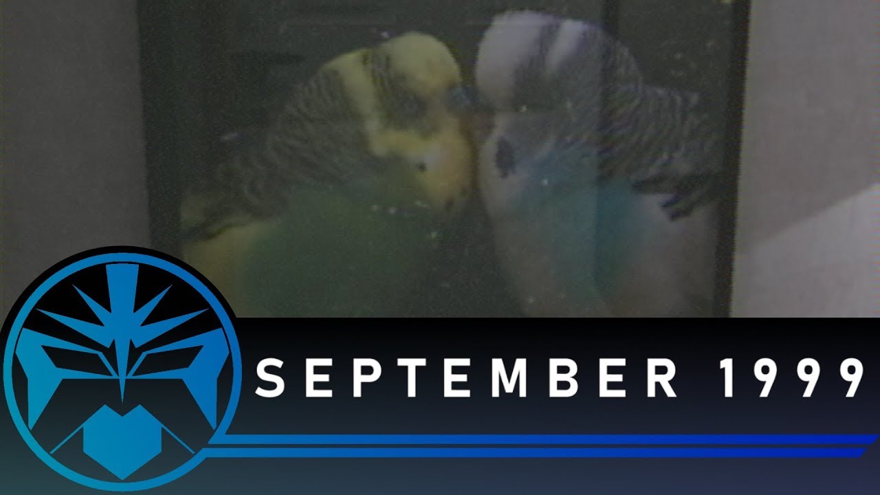 Free Shorties - September 1999