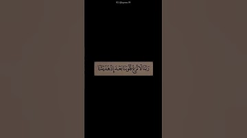 اكتب شي تؤجر عليه 🤍 ｜ القارئ أحمد خضر ｜ قرآن كريم