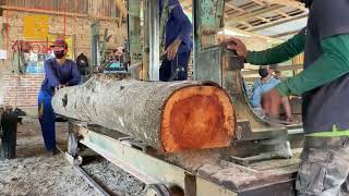 Using a sawing machine to transform Banyur logs into window sill materials