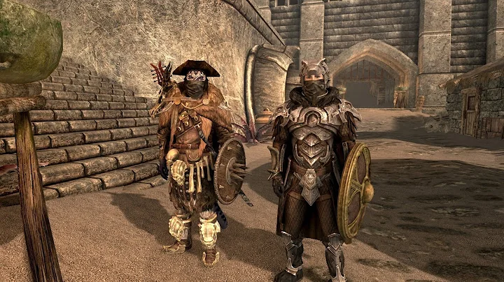 Skyrim | Modded Follower Compilation