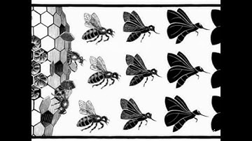 METAMORPHOSIS II - (Maurits Cornelis Escher) - b/w