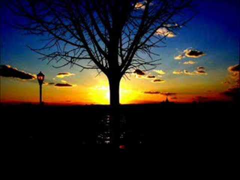 Valley Of The Low Sun Video