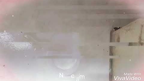 Hướng dẫn làm kem cạo râu xốp mịn nguyên liệu tại nhà