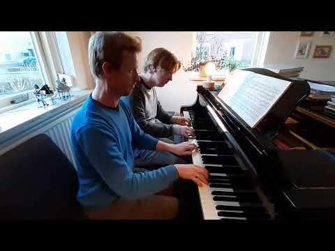 видео: Franz Schubert - Polonaise no.1 D599 (op.75)