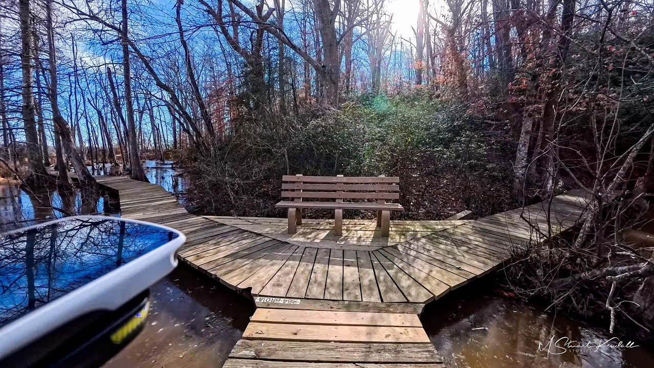 New Years Eve At Patuxent