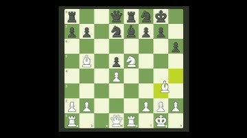 Maurice Ashley vs Berman M