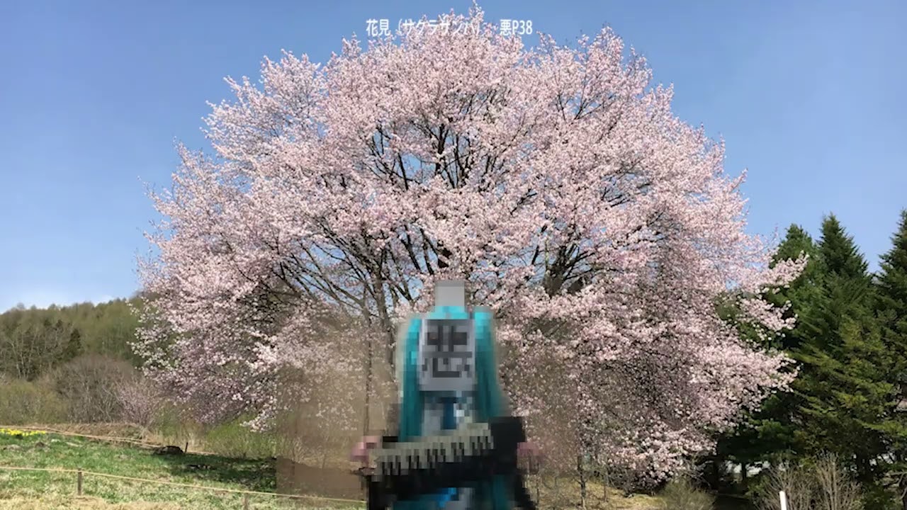 HANAMI (SAKURA SAMBA JAPANESE VERSION) (feat. WARU P38) - YouTube