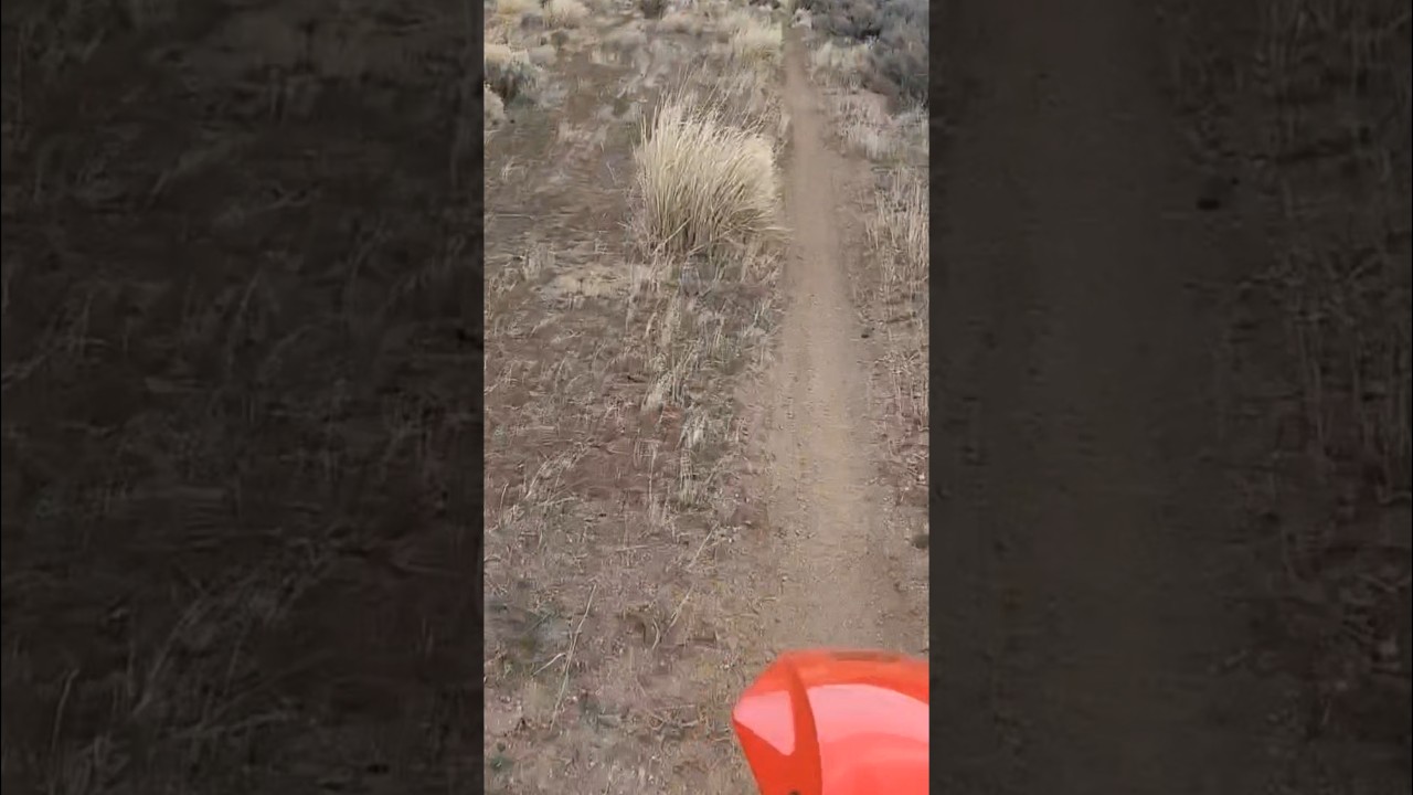 High desert single track GAS GAS EX250F 