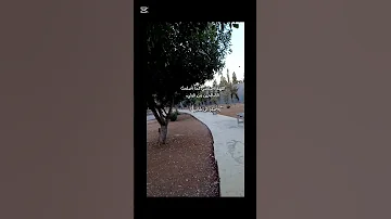 الله م أصل حني ك ما أصلحت الص ال حين م ن قبلي وأ صل ح ل ي ش أن ي ك له دعاء 