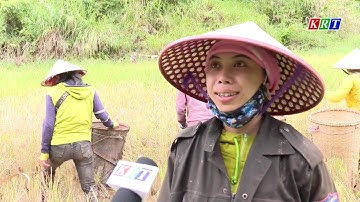 Cuộc sống của đồng bào Giẻ Triêng