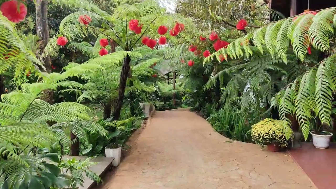 NHÀ BÊN SUỐI HOMESTAY 