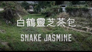 自家種植白鶴靈芝，並製成茶包，潤肺降火Planting the snake ... 